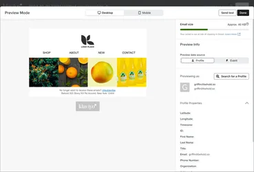 Klaviyo desktop preview showing a row of Instagram images